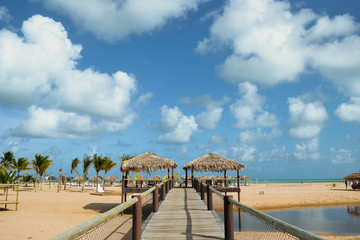 Obraz premium Paradisiacal beach in northern Brazil