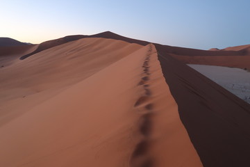Fototapeta na wymiar ナミブ砂漠　Deadvlei　Namibia