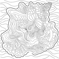 ornamental shell