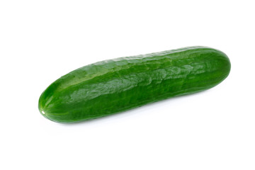 Single tasty fresh cucumber from organic farm isolated on a white background in close-up (high details).