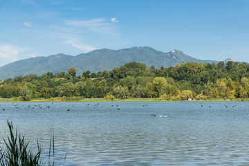 Fototapeta na wymiar Beautiful lake in northern Italy, lake Varese with in the background the Campo dei Fiori regional park. Lake famous because hosts rowing competitions of national, European and world level