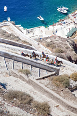 donkeys used to bring tourists up from the old port to Oia village, Santorini, Greece
