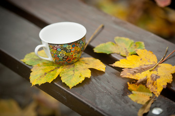coffee cup on the bench in autumn day. Coffee cup and leaf  on wooden table outdoor background.