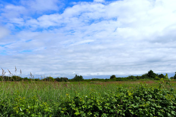 Fototapeta na wymiar View of cloudy skies over top of a grassy field. 