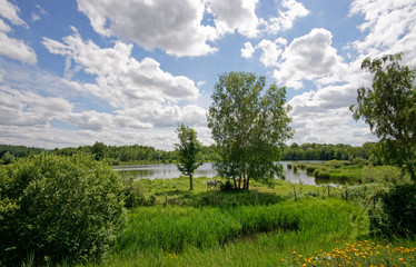 Episy swamp nature reserve in the French Gâtinais regional nature par