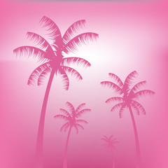 Fototapeta na wymiar pink background tropical palms blurred