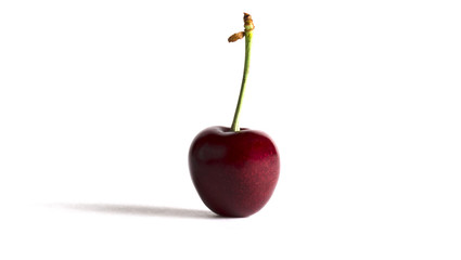 one cherry on a white background close-up
