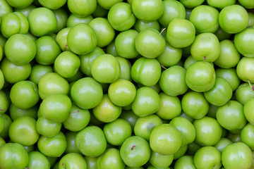 Freshly harvested green cherry plum