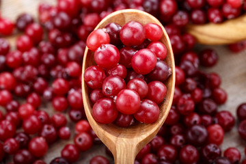 Fresh red forest cranberry in a spoon