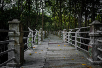 Mangrove Lumut Malaysia