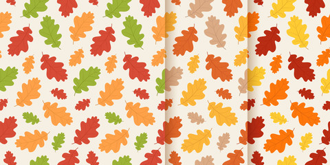Autumn pattern. Vector. Seamless background with fall oak leaves. Set seasonal wallpapers. Colorful cartoon illustration in flat design. Floral texture.