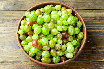 sweet fresh gooseberry berry