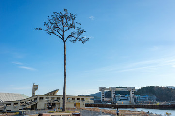 【岩手県陸前高田】高田松原跡地の風景と未来への希望