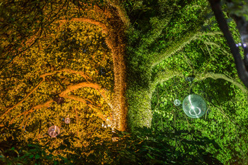 Naklejka premium Dazzling displays of light