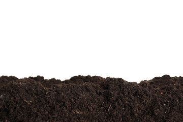 Layer of fresh soil isolated on white. Gardening time