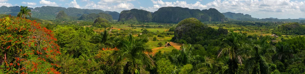 Fotobehang Vinales Valley site in  Pinar del Río of Cuba © Arsgera