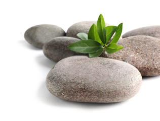 Fototapeta premium Spa stones with green branch isolated on white