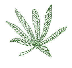Decorative green illustration leave of big hemp
