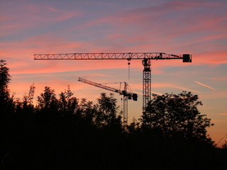 crane at sunset
