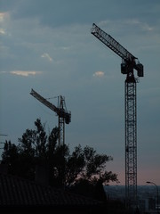 crane at sunset