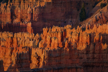 Morning view of the famous Bryce Canyon National Park from Sunrise Point