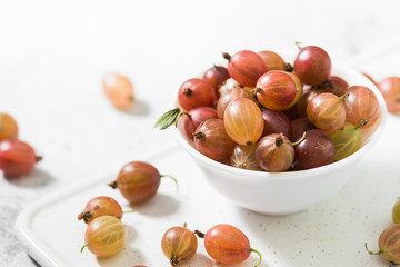 Gooseberries in a white bowl on a light background