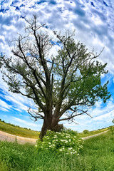Beautiful landscape in Southern Poland near Klodzko