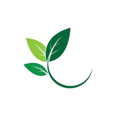 Fototapeta premium Logos of green leaf ecology nature element vector icon