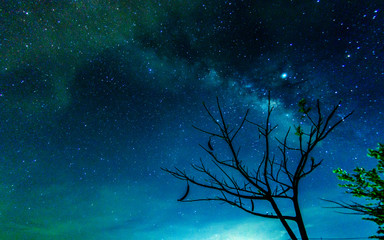 Noise,Milky way galaxy with stars and space in the universe background at thailand