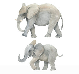 Ręcznie rysowane akwarela ilustracja z słodkie słonie. Dziecka i matki słoń odizolowywający na białym tle - 274556262