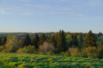 Fototapeta premium Landscape with trees and blue sky
