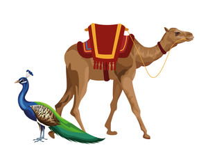 camel and peacock icon cartoon