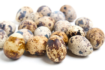 quail eggs close up on white background