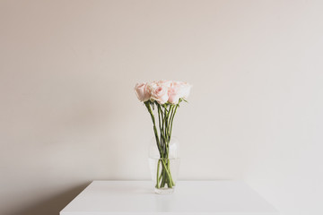 Long stemmed pale pink roses in glass vase on white table against neutral wall background - matte...