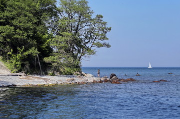 Woman and two cormorants on the beach of Rügen, Germany, and a sailboat in the Baltic Sea