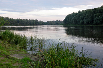 Wide river flowing across green forest. Summer evening. Reflections of trees and grass in the calm flowing water