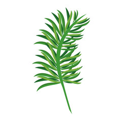 Leaves nature cartoon isolated symbol
