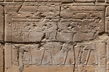 Egyptian Hieroglyphs in Luxor Temple, Luxor, Egypt