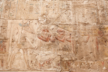 Fototapeta na wymiar Egyptian Hieroglyphs in Luxor Temple, Luxor, Egypt