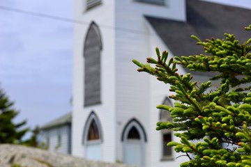 Pine branch with church in defocused back ground, no people.
