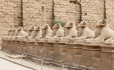 Sphinxes in Karnak Temple, Luxor, Egypt