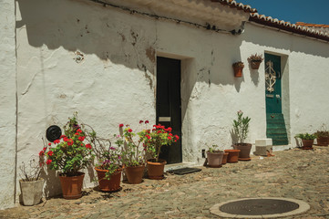 Fototapeta na wymiar Humble house with flower pots at Evoramonte