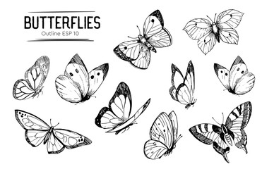 Set of butterflies outlines. Hand drawn illustration converted to vector © aksol
