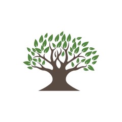 Tree logo template