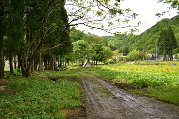 Fototapeta premium 田舎の風景
