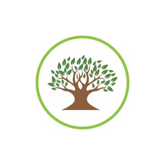 Tree logo template