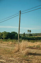 Light poles over field covered by straw