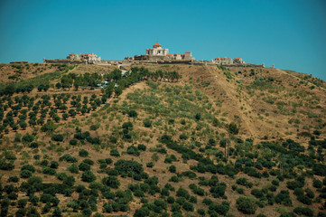 Fortress of hill covered by green olive trees