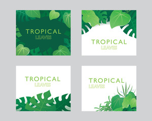 Template of tropical leaves banner design with space for text. Vector illustration