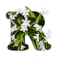 The letter R of the English alphabet of small white flowers